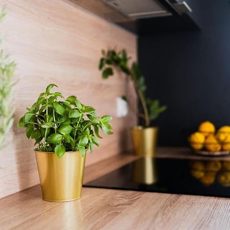 City Center - 3 Rooms - New Building - Private Parking Place - Garage Βρότσλαβ Εξωτερικό φωτογραφία