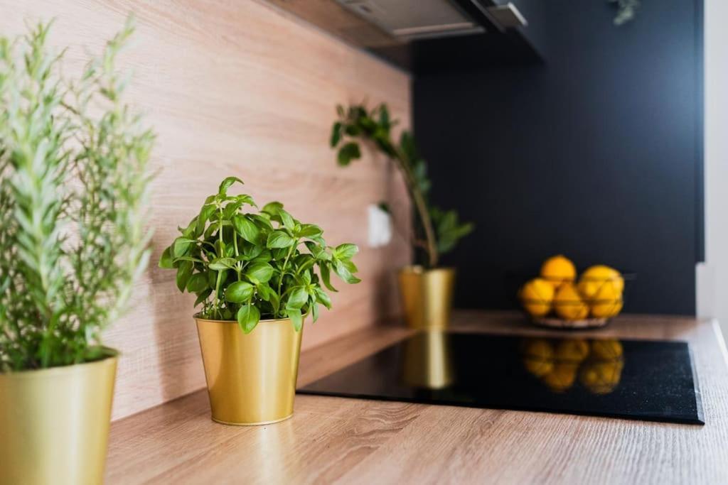 City Center - 3 Rooms - New Building - Private Parking Place - Garage Βρότσλαβ Εξωτερικό φωτογραφία